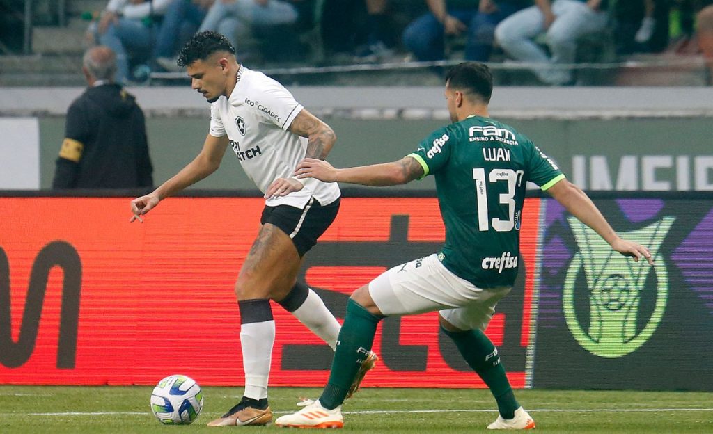 Botafogo X Palmeiras Veja Onde Assistir E As Escala Es Da Final