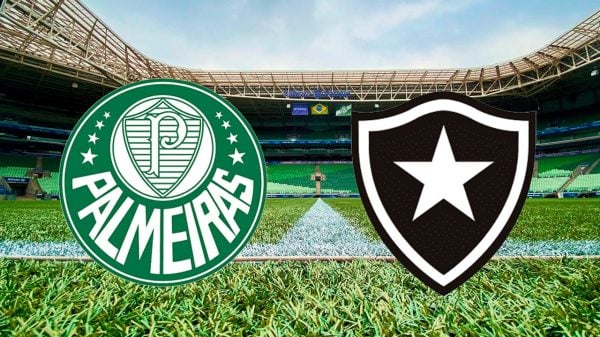 Palmeiras e Botafogo se enfrentam hoje em duelo decisivo pela Libertadores