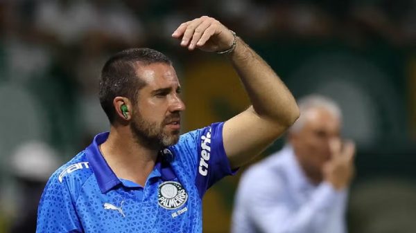 João Martins substitui Abel expulso durante Palmeiras x Flamengo (Foto: Cesar Greco)