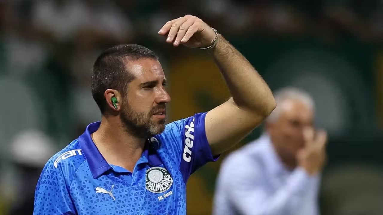 João Martins substitui Abel expulso durante Palmeiras x Flamengo (Foto: Cesar Greco)