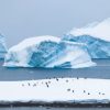 Fragmentos de âmbar foram encontrados na Antártica, revelando um passado tropical do continente